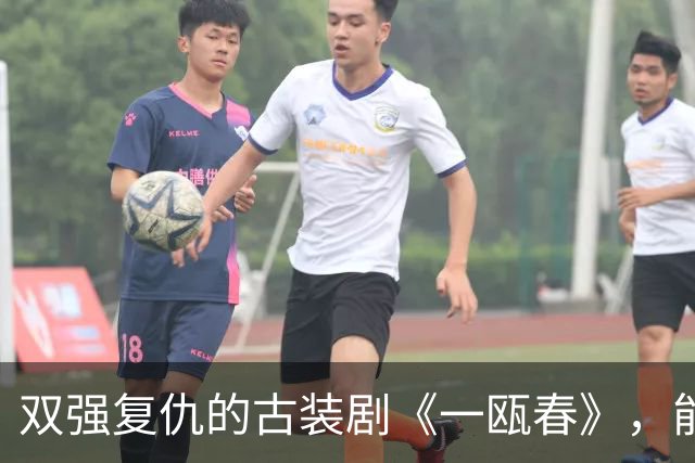 双强复仇的古装剧《一瓯春》，能否在竞争中逆袭？